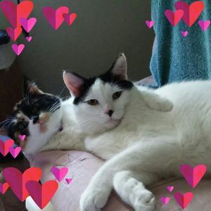 Meet your Posher, Trudy